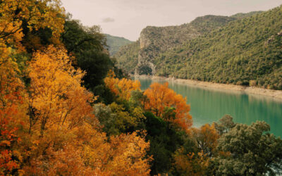 Excursiones escolares en Aragón 